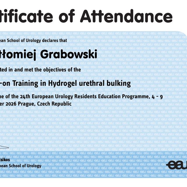 Powiększ obraz: certificate 5