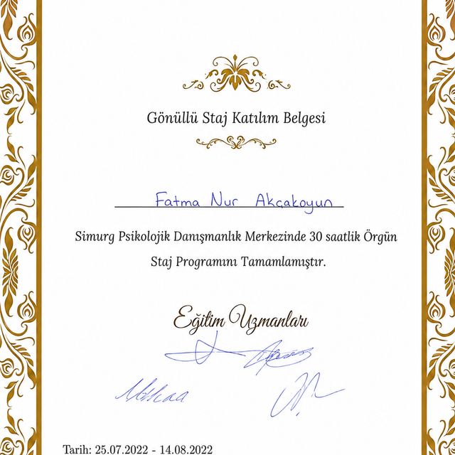 Resmi büyüt: certificate 9