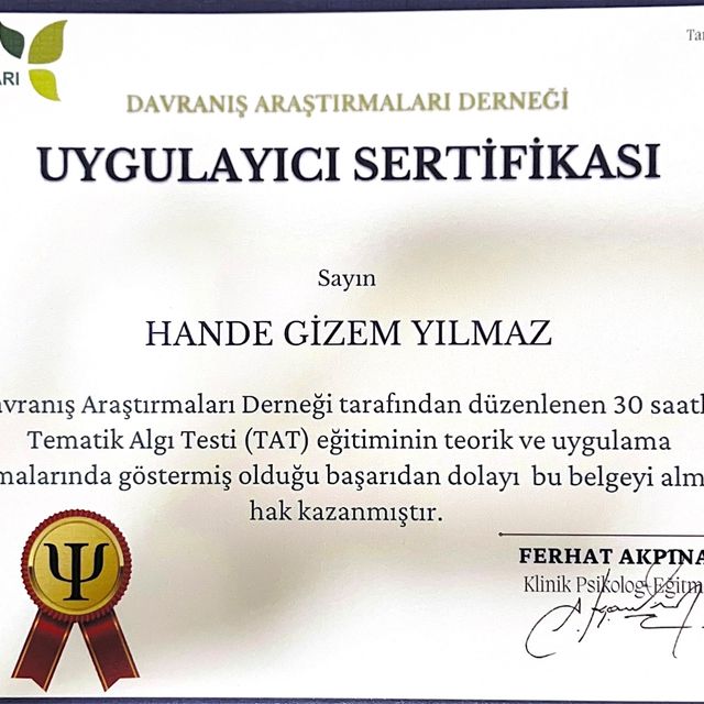 Resmi büyüt: certificate 6