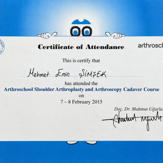 Resmi büyüt: certificate 2