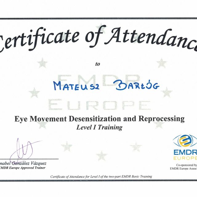 Powiększ obraz: certificate 2