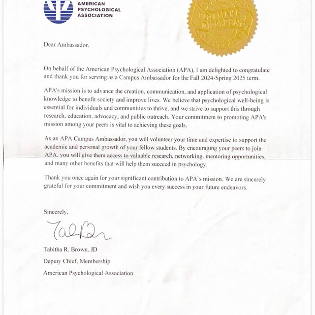 Powiększ obraz: certificate 4