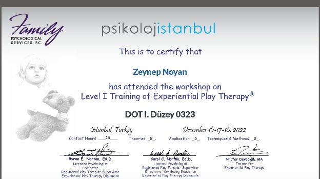 Resmi büyüt: certificate 2