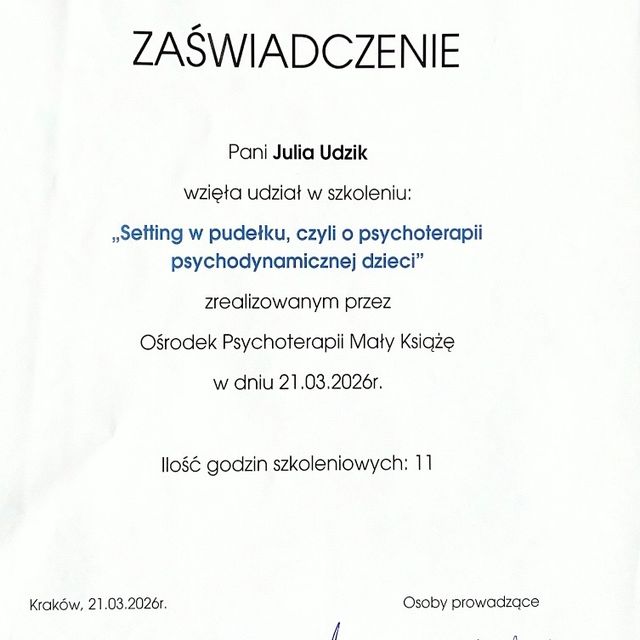 Powiększ obraz: certificate 3