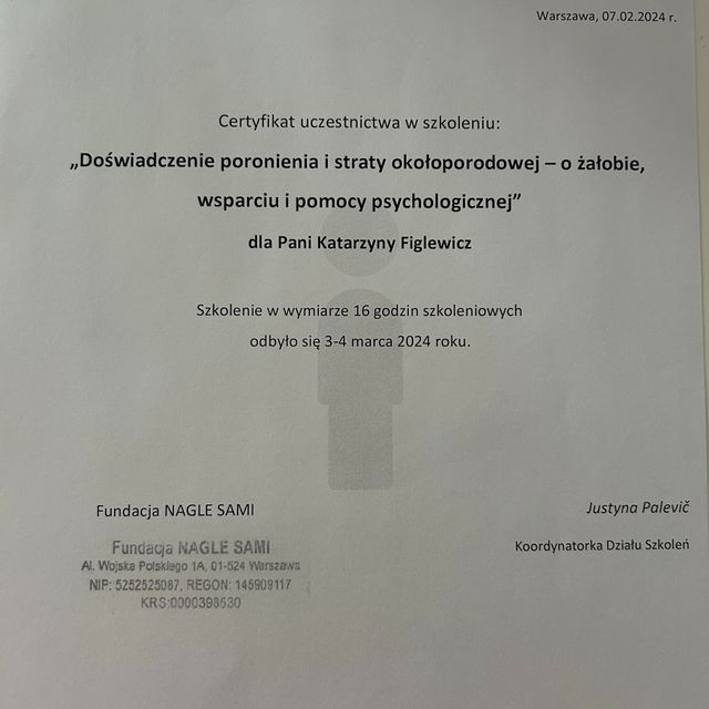Powiększ obraz: certificate 2