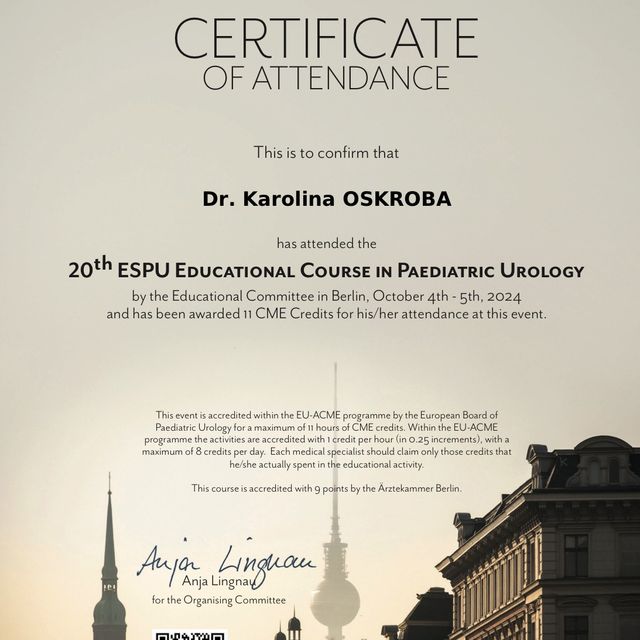 Powiększ obraz: certificate 7
