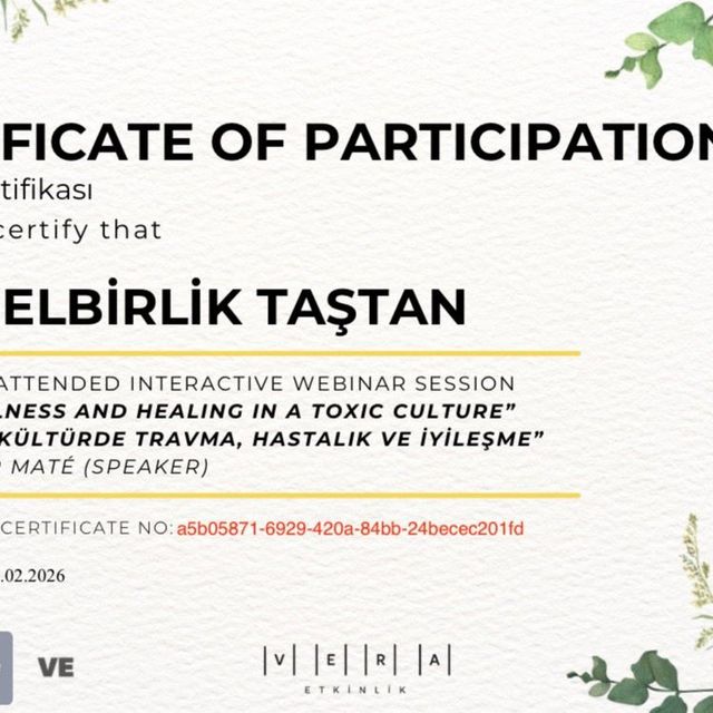 Resmi büyüt: certificate 2