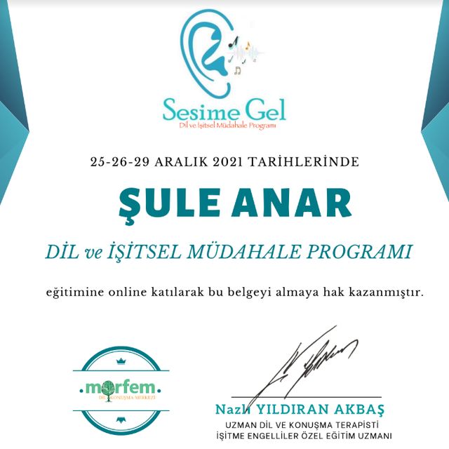Resmi büyüt: certificate 4