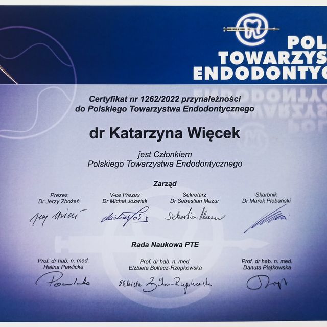 Powiększ obraz: certificate 1