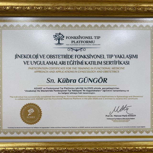 Resmi büyüt: certificate 3