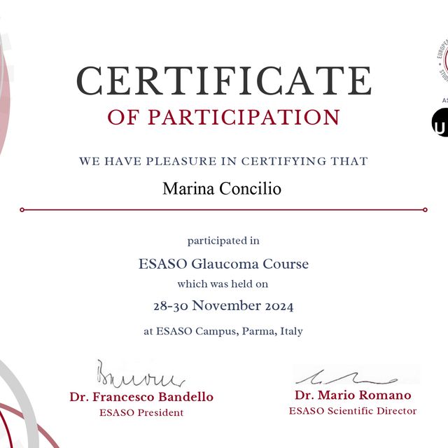 Ingrandire l'immagine: certificate 2