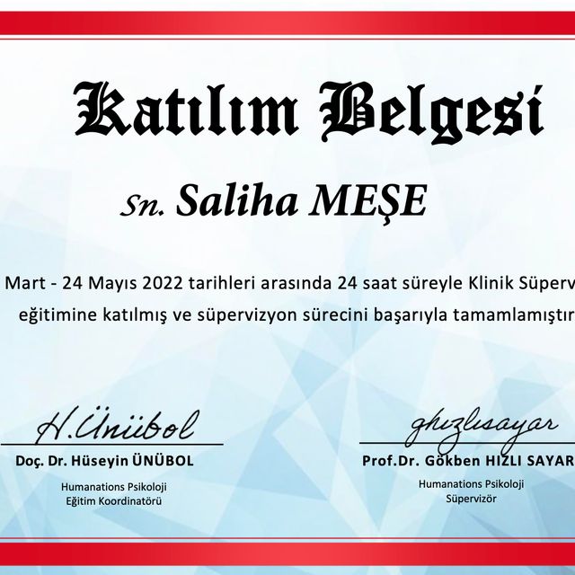 Resmi büyüt: certificate 2