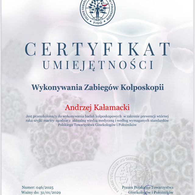 Powiększ obraz: certificate 65