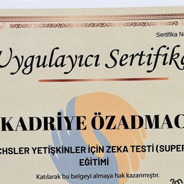 Resmi büyüt: certificate 64