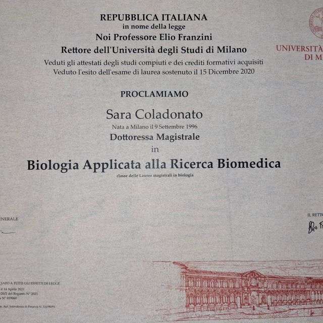 Ingrandire l'immagine: certificate 3