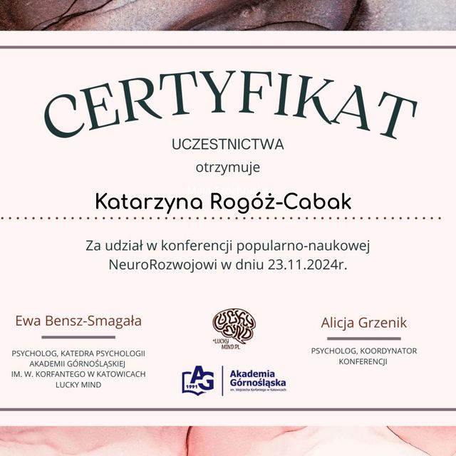 Powiększ obraz: certificate 1