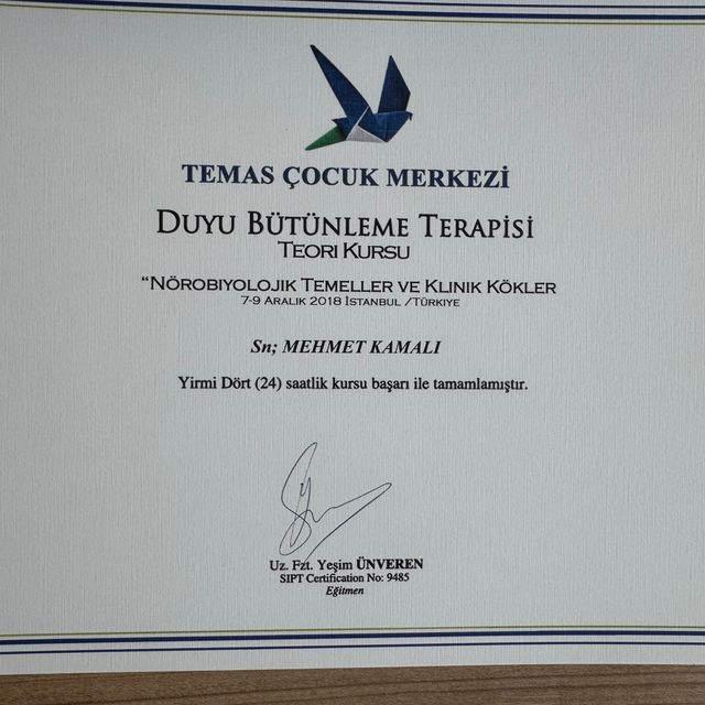 Resmi büyüt: certificate 9