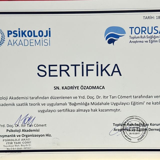 Resmi büyüt: certificate 46