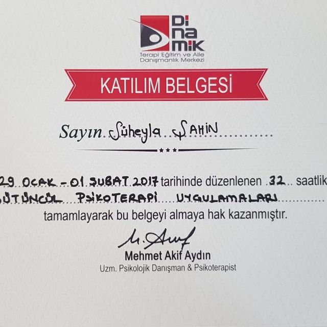Resmi büyüt: certificate 8