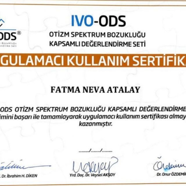 Resmi büyüt: certificate 21