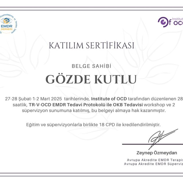Resmi büyüt: certificate 2