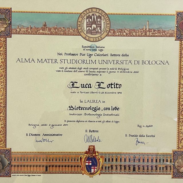 Ingrandire l'immagine: certificate 4