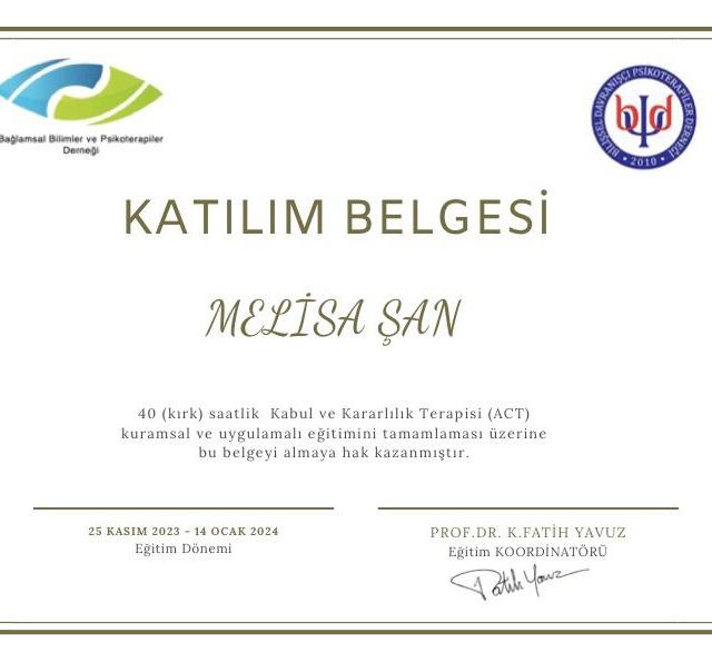Resmi büyüt: certificate 1