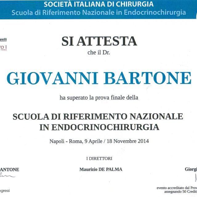 Ingrandire l'immagine: certificate 24