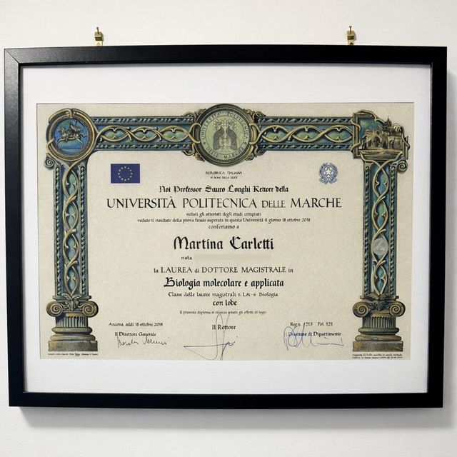 Ingrandire l'immagine: certificate 1