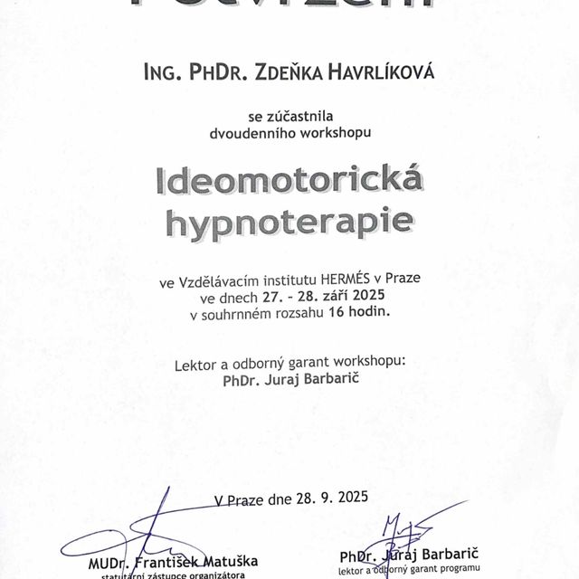 Zvětšit obrázek: certificate 4