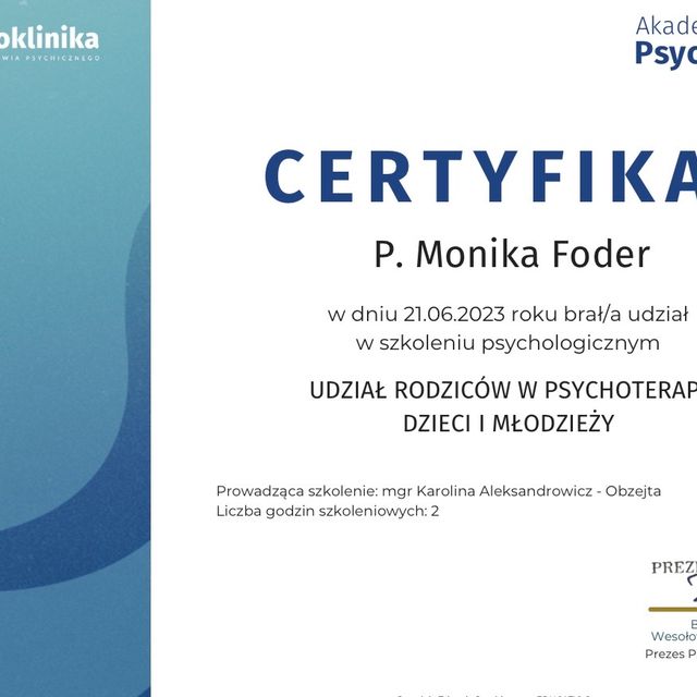 Powiększ obraz: certificate 2