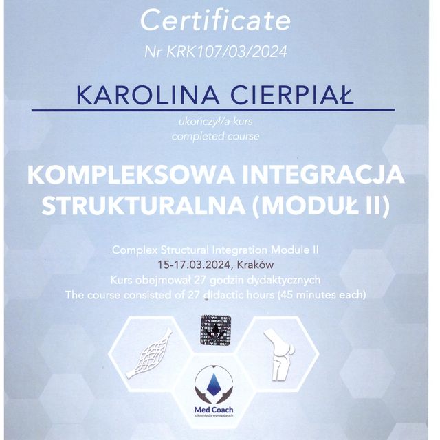 Powiększ obraz: certificate 9