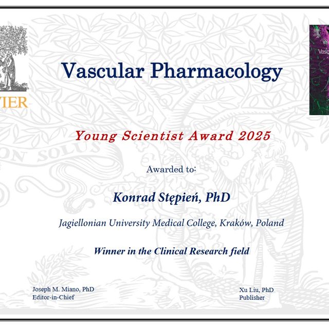 Powiększ obraz: certificate 1