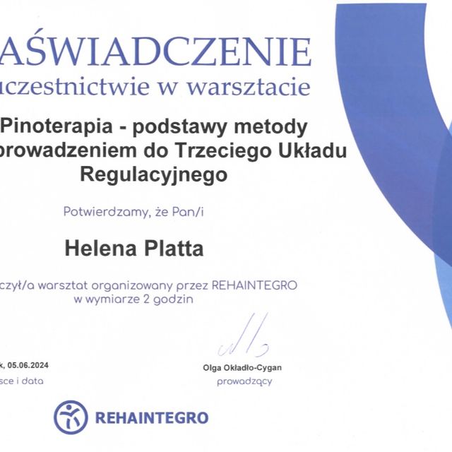 Powiększ obraz: certificate 4