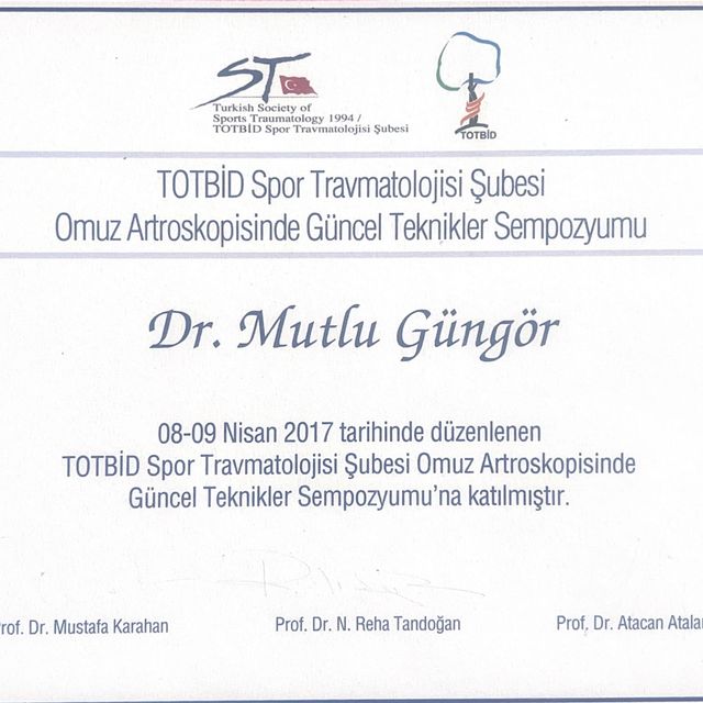 Resmi büyüt: certificate 2