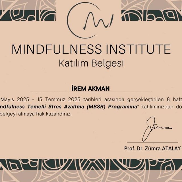 Resmi büyüt: certificate 17