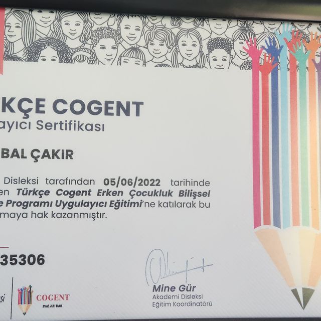 Resmi büyüt: certificate 2