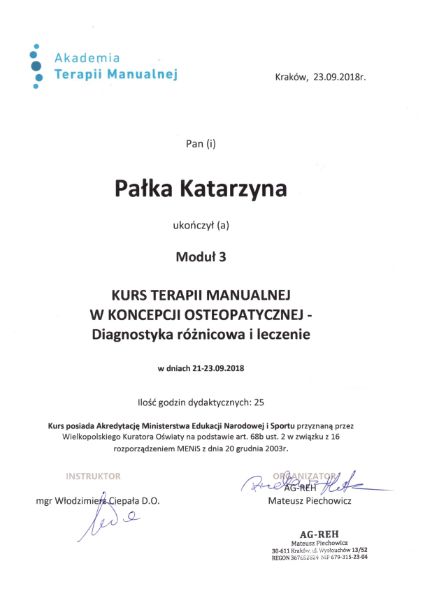 Powiększ obraz: certificate 7