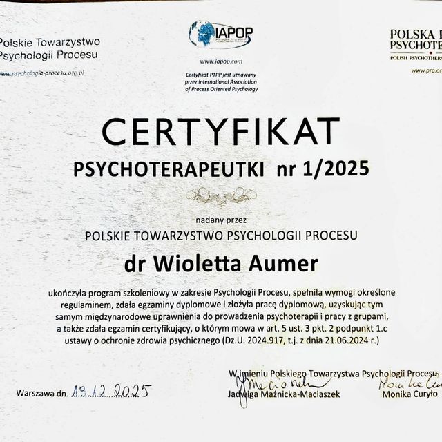 Powiększ obraz: certificate 1
