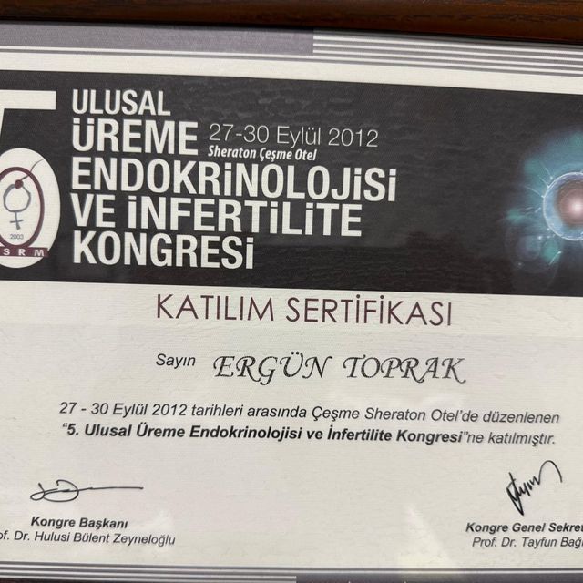 Resmi büyüt: certificate 10
