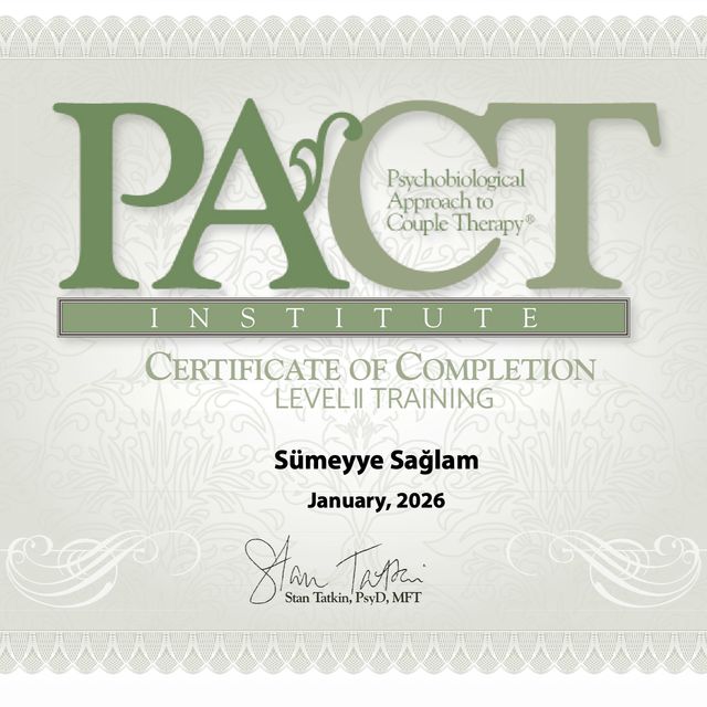 Resmi büyüt: certificate 4
