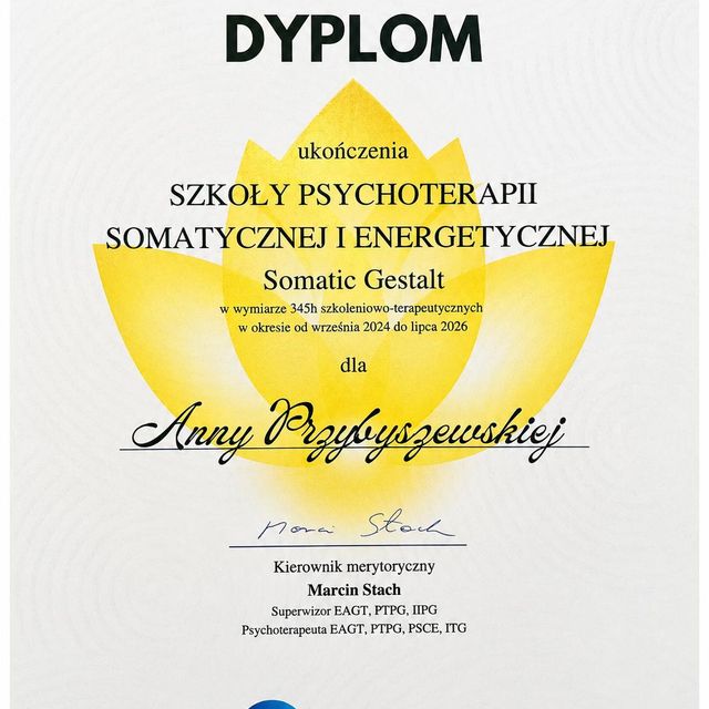 Powiększ obraz: certificate 11