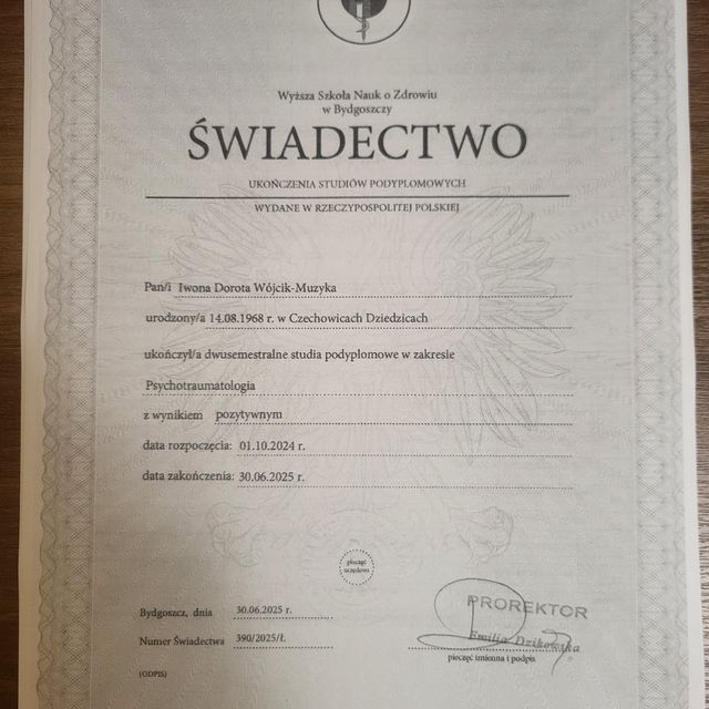 Powiększ obraz: certificate 8