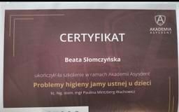 Powiększ obraz: certificate 11