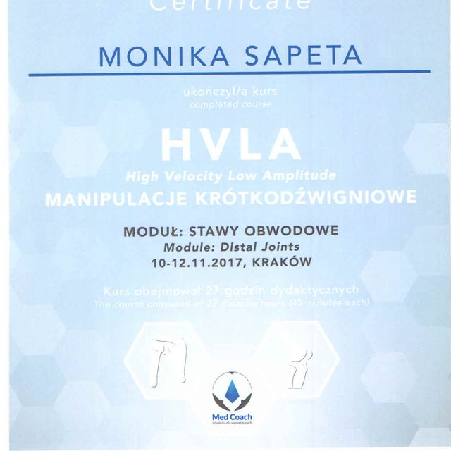 Powiększ obraz: certificate 6