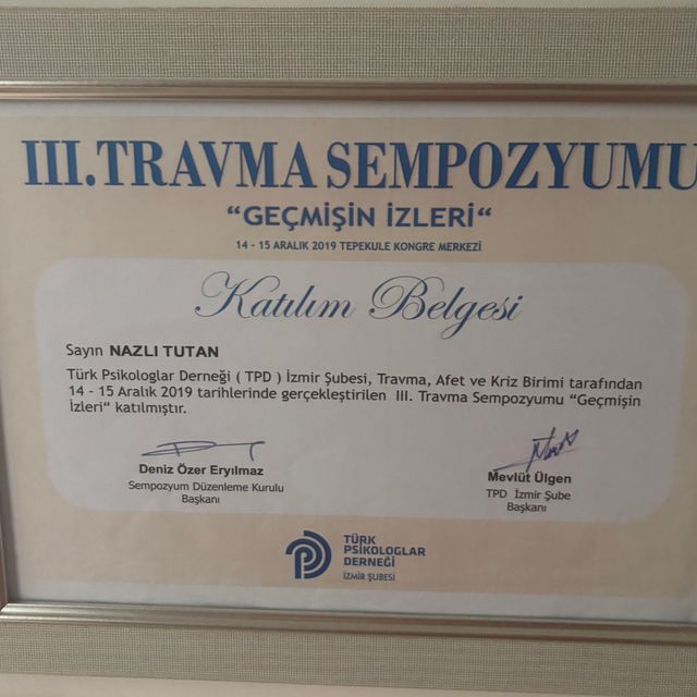 Resmi büyüt: certificate 13