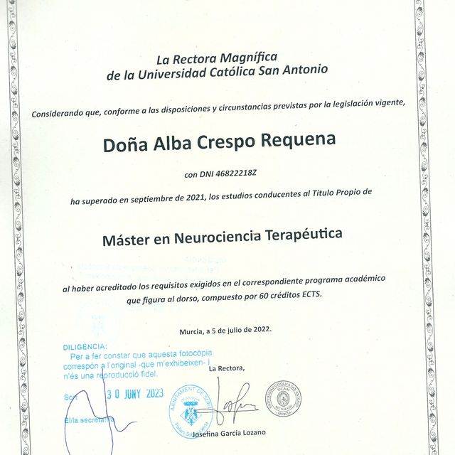 Acercar imagen: certificate 5