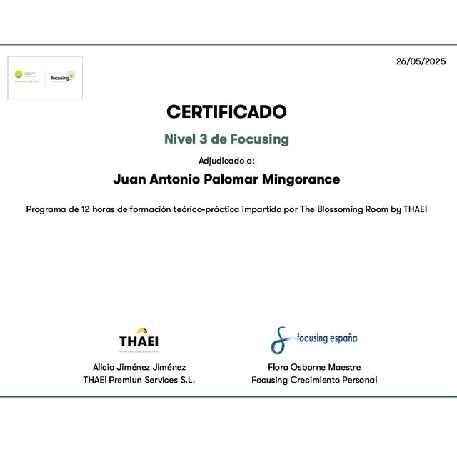 Acercar imagen: certificate 2