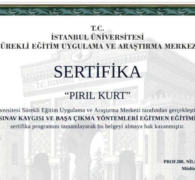 Resmi büyüt: certificate 8