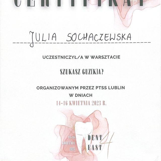 Powiększ obraz: certificate 1